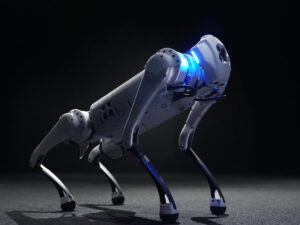 V čínskom robotickom psovi Unitree Go1 objavený backdoor na diaľkový prístup