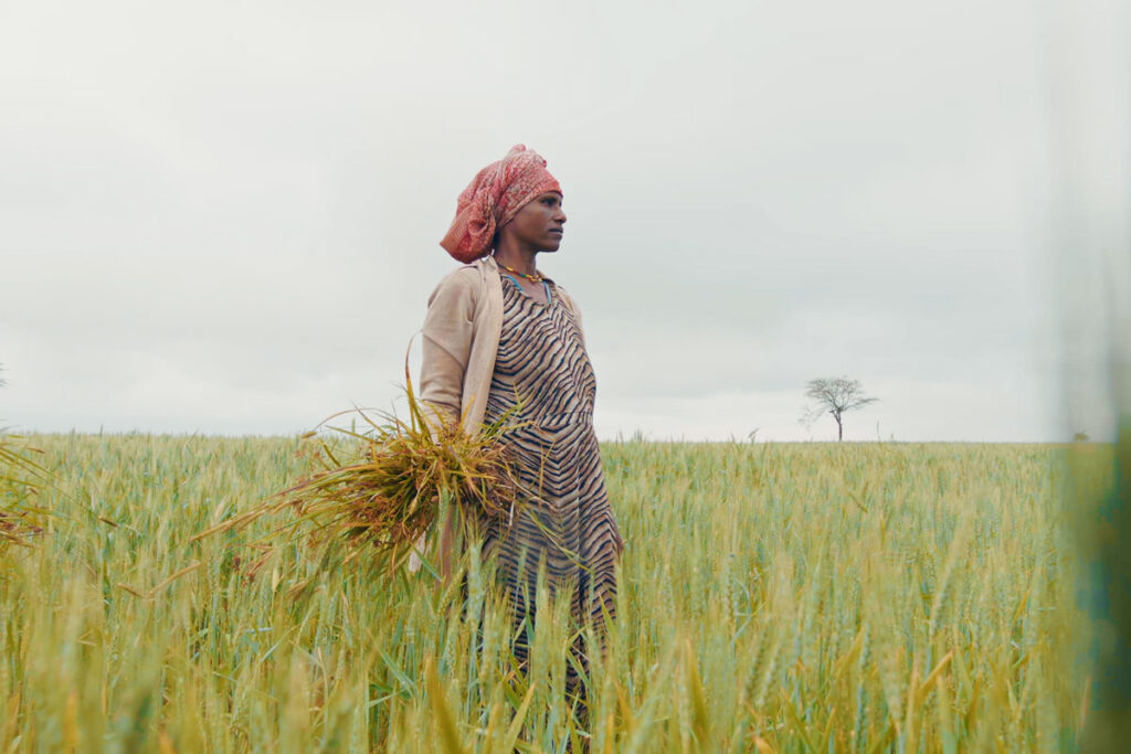 Bill Gates a jeho tri pravdy, ktoré rozdelili odborníkov