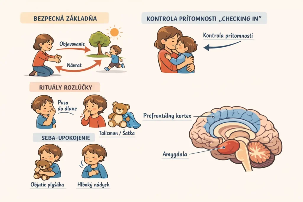 Schéma separačnej úzkosti u batoliat: bezpečná základňa, checking in a vývoj mozgu
