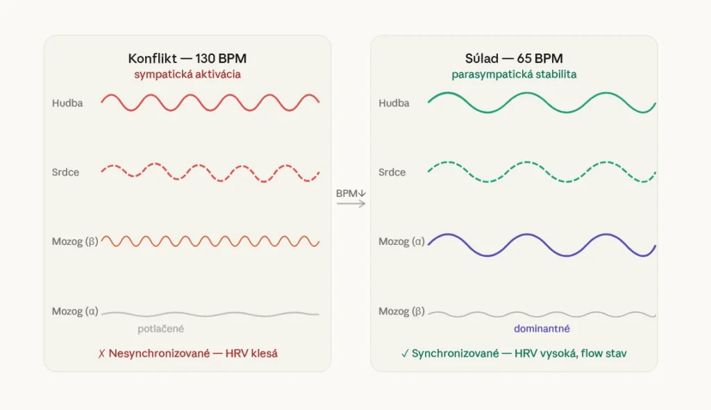 Porovnanie mozgových vĺn pri 130 BPM vs 65 BPM — neurálne strhávanie a synchronizácia srdcového rytmu s hudbou
Title: Neurálny entrainment — vplyv BPM hudby na HRV a alfa vlny