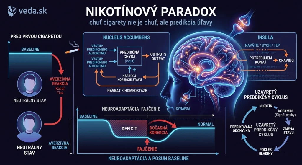 Odborná infografika s názvom Nikotínový paradox. Zobrazuje proces neuroadaptácie, kde sa neutrálny stav mení na deficit, schému nucleus accumbens ako predikčného algoritmu a úlohu inzulárnej kôry pri vzniku cravingu.