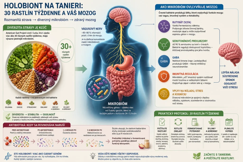 Komplexná infografika o holobiontovi zobrazujúca vplyv 30 druhov rastlín týždenne na mikrobióm, os črevo-mozog, produkciu butyrátu a vplyv antibiotík na stabilitu systému.