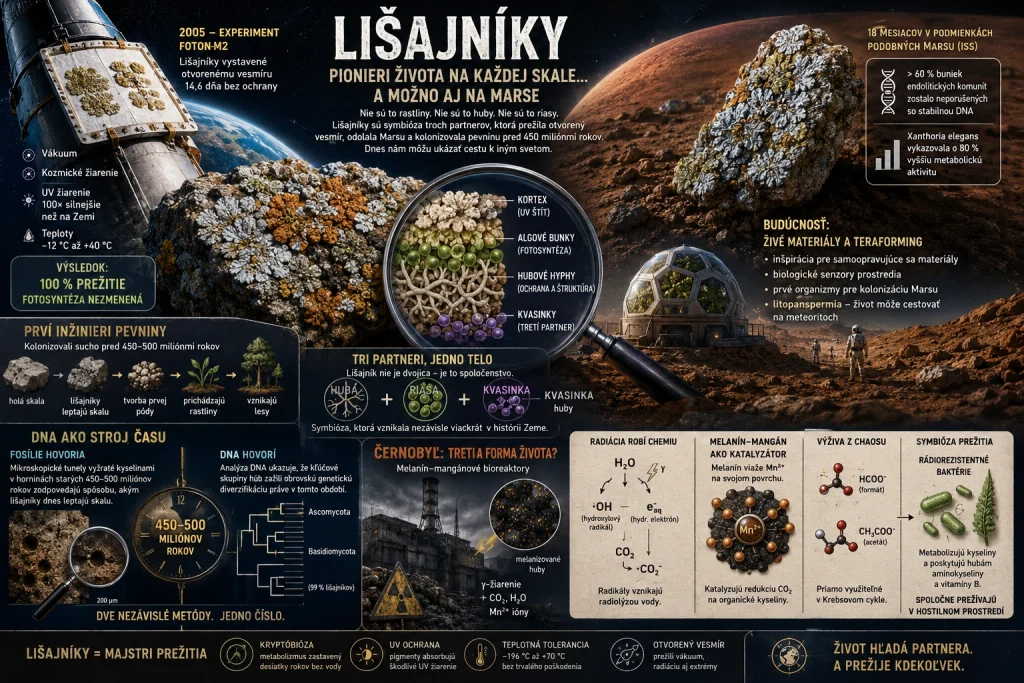 Infografika znázorňujúca mimoriadnu odolnosť lišajníkov: od prežitia vo vesmíre až po černobyľské melanín-mangánové bioreaktory, ktoré využívajú radiáciu na abiotickú syntézu živín.