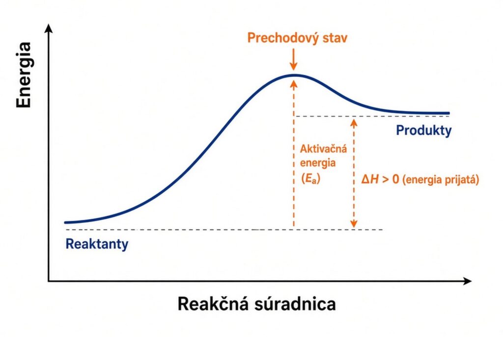 Energetický profil endotermickej reakcie. Aj tu existuje prechodový stav a aktivačná energia, ale produkty majú vyššiu energiu než reaktanty (ΔH > 0). Systém musí energiu prijať.