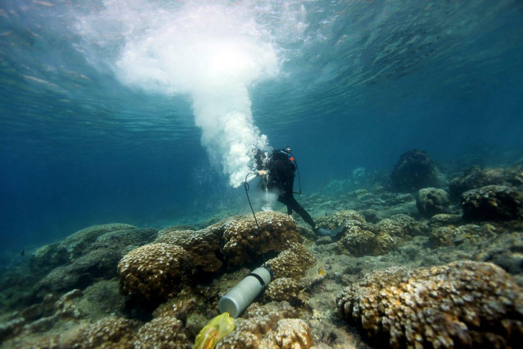 El Niño je silnejšie ako kedykoľvek za posledných 1000 rokov. Ukázali to koraly z Galapág
