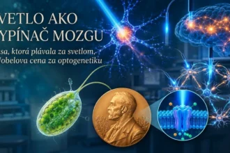 Optogenetika – aktivácia neurónov pomocou svetla, svetlocitlivé proteíny a výskum mozgu